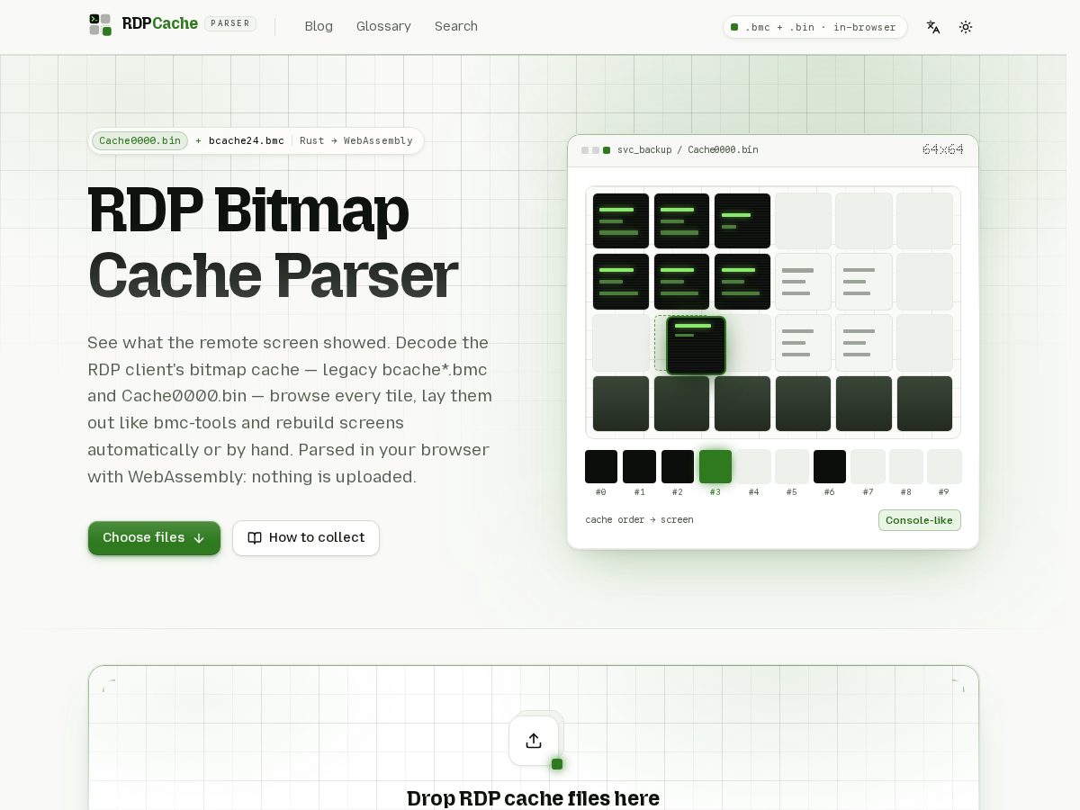 Landing-page snapshot of rdpcacheparser.com