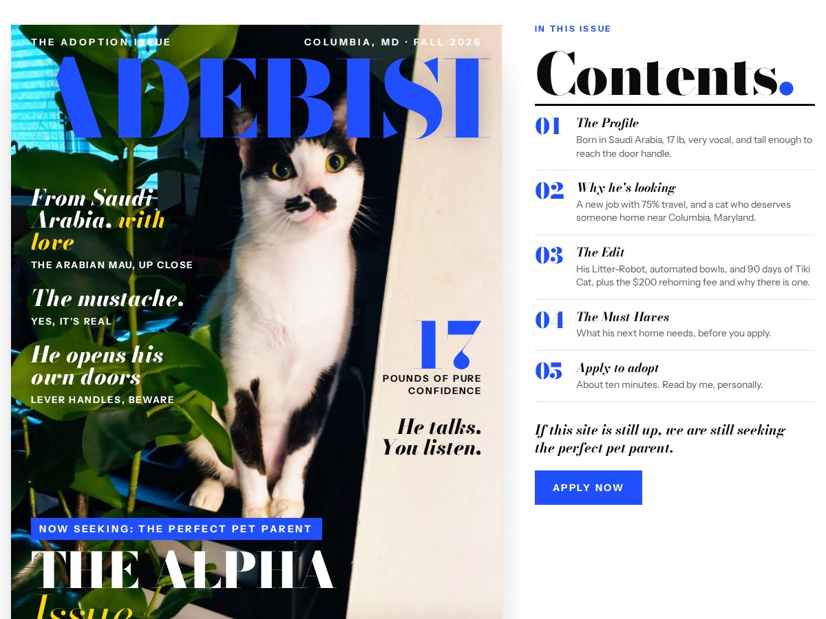 Landing-page snapshot of adoptadebisi.com
