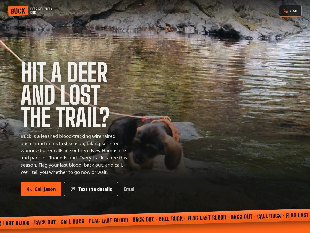 Landing-page snapshot of buckrecovery.com