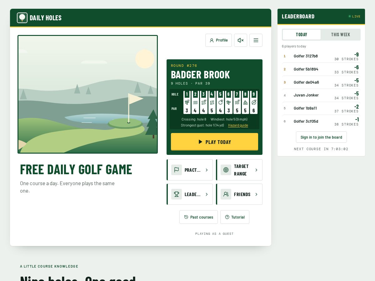 Landing-page snapshot of dailyholes.net