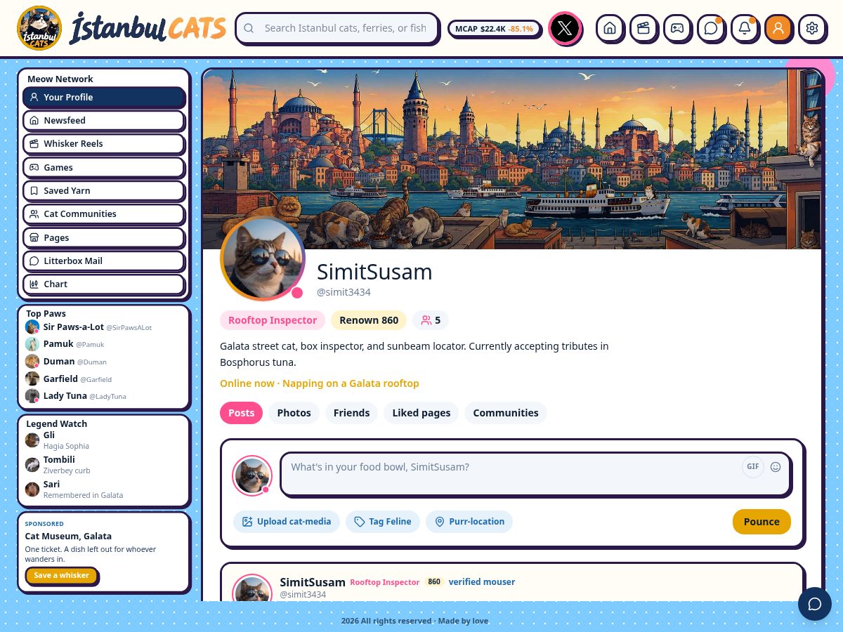 Landing-page snapshot of istanbulcat.xyz