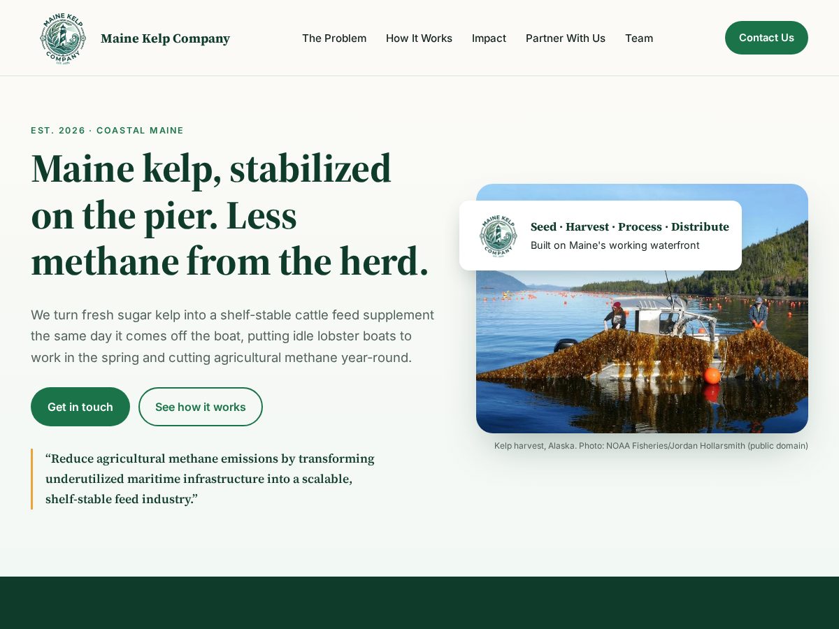 Landing-page snapshot of mainekelp.com