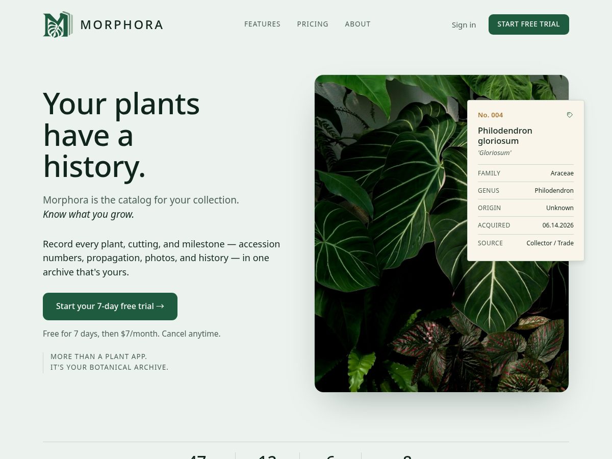 Landing-page snapshot of morphora.app