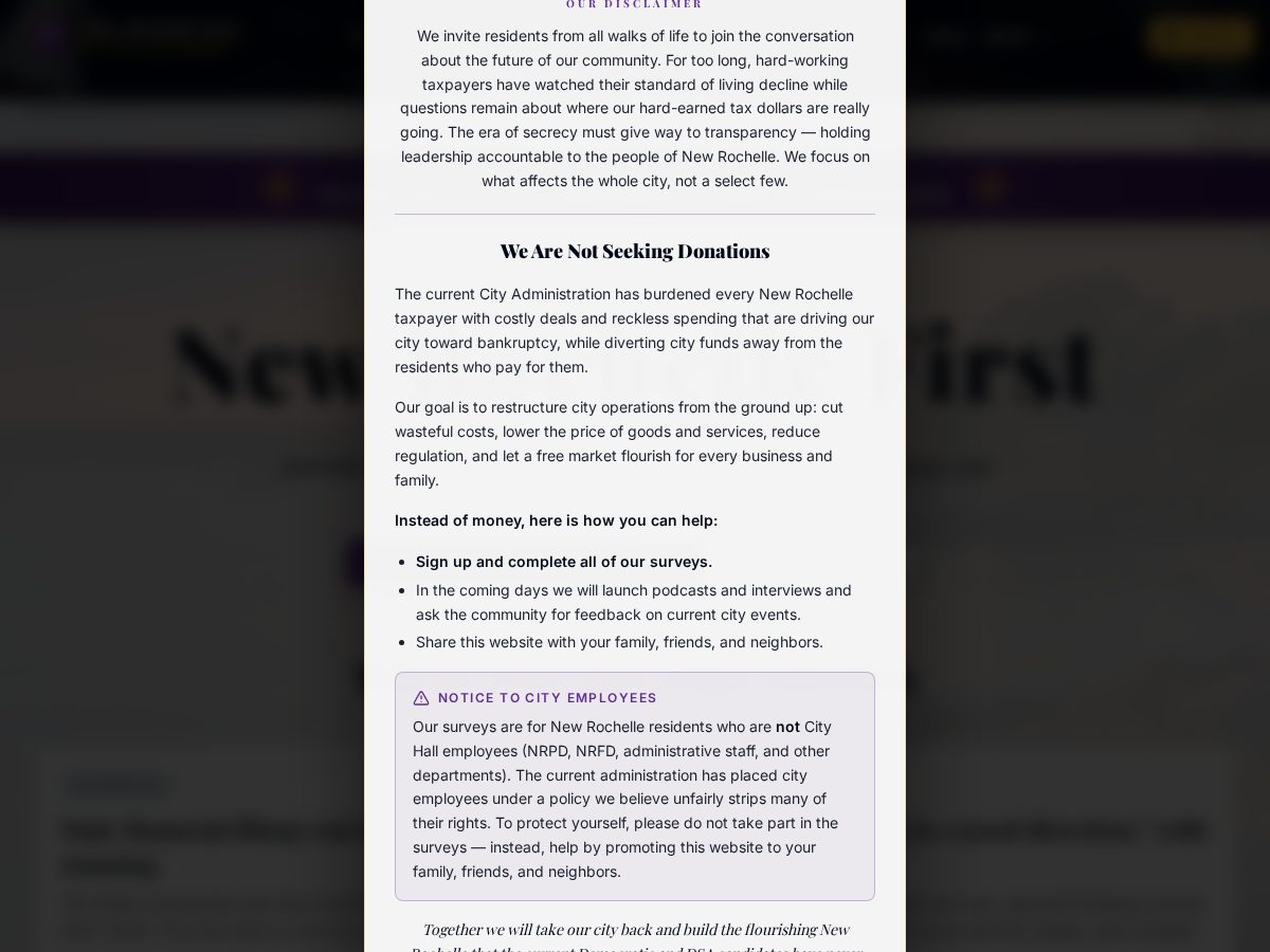 Landing-page snapshot of newro.online