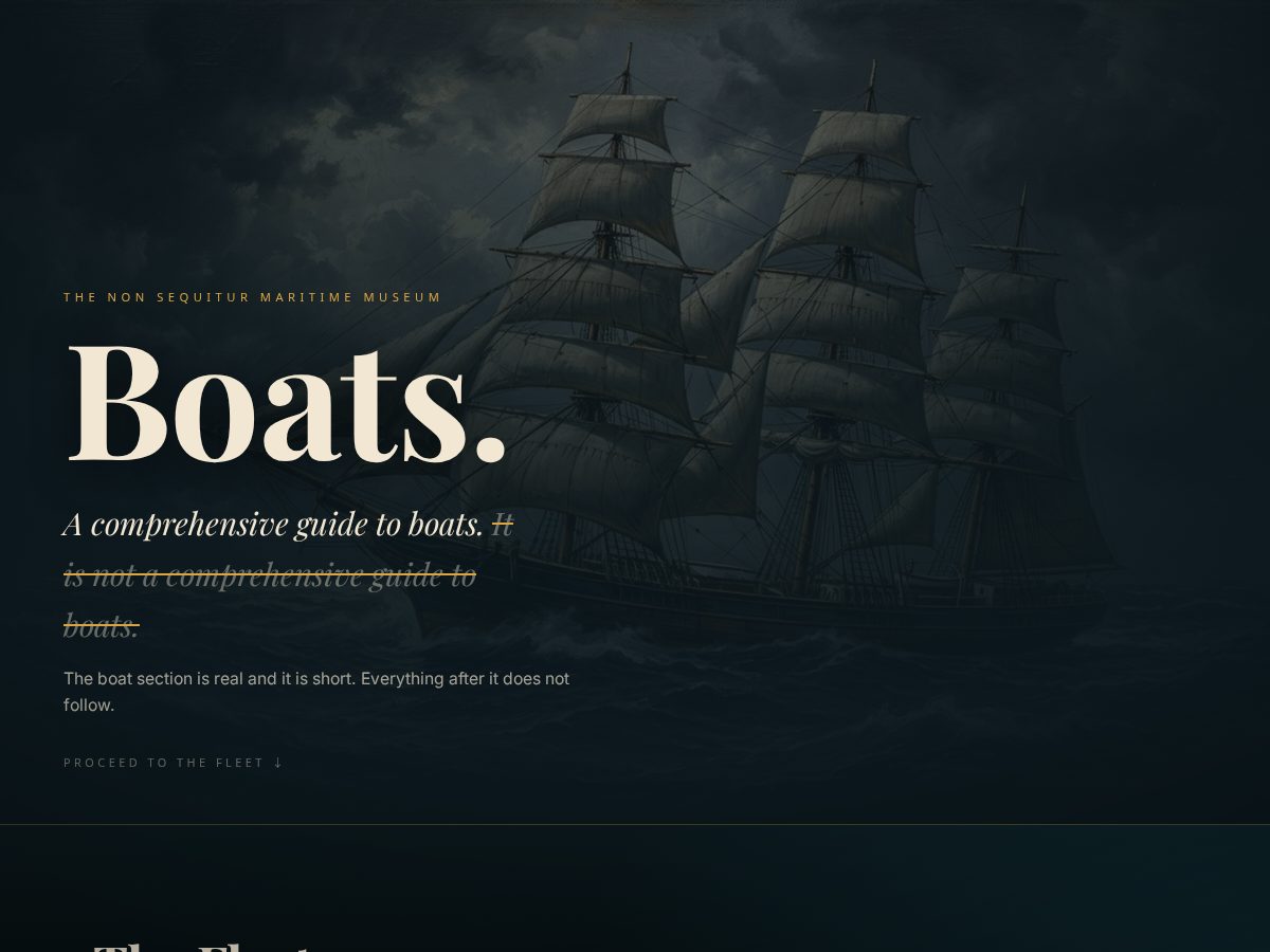 Landing-page snapshot of nonsequitur.boats