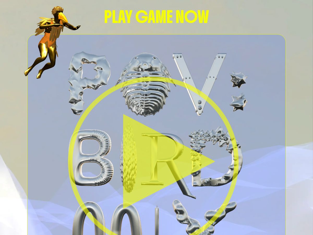 Landing-page snapshot of povbirdmix.com