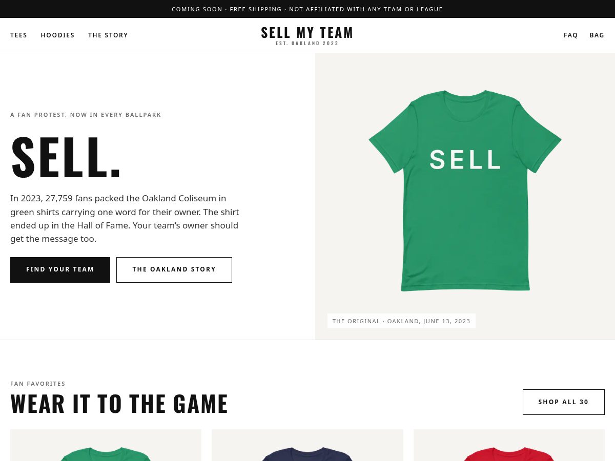 Landing-page snapshot of sellmyteam.com