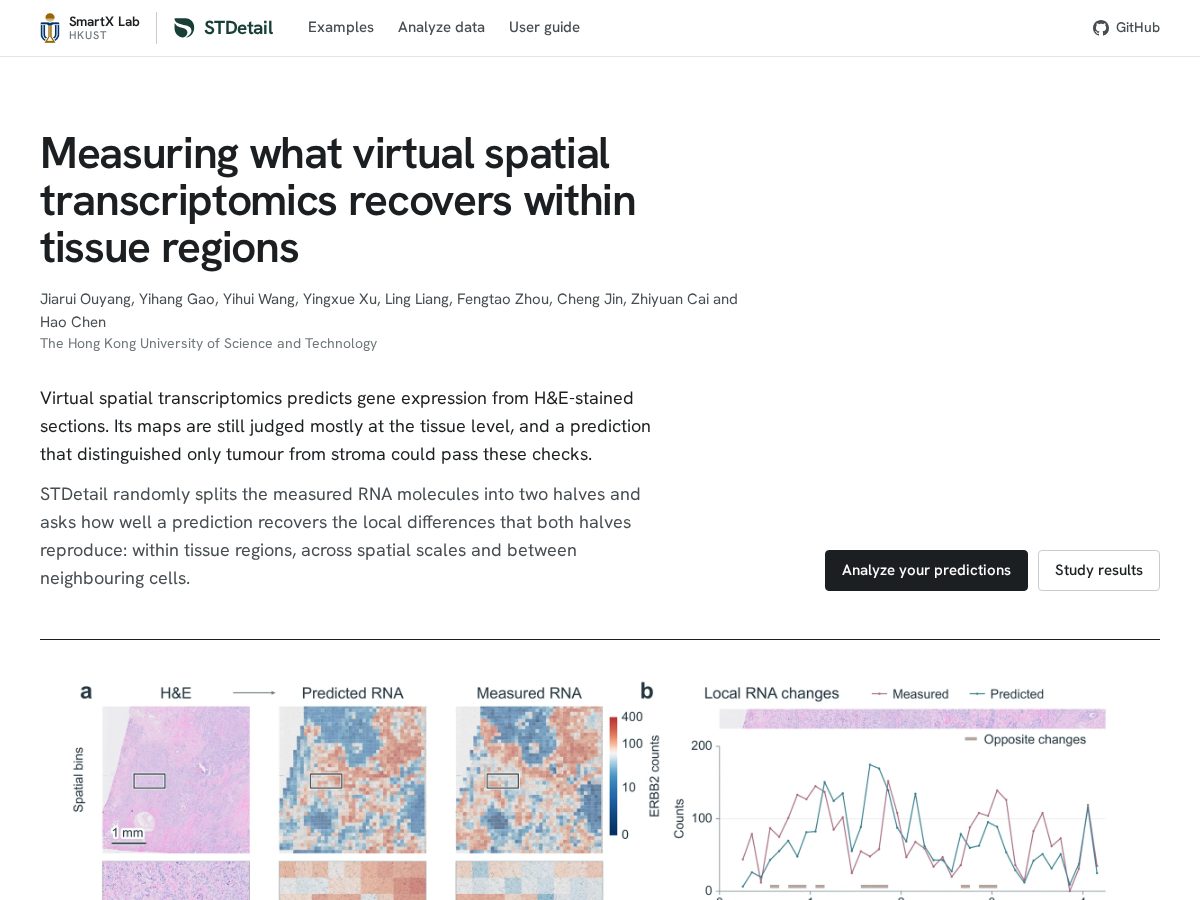 Landing-page snapshot of stdetail.org