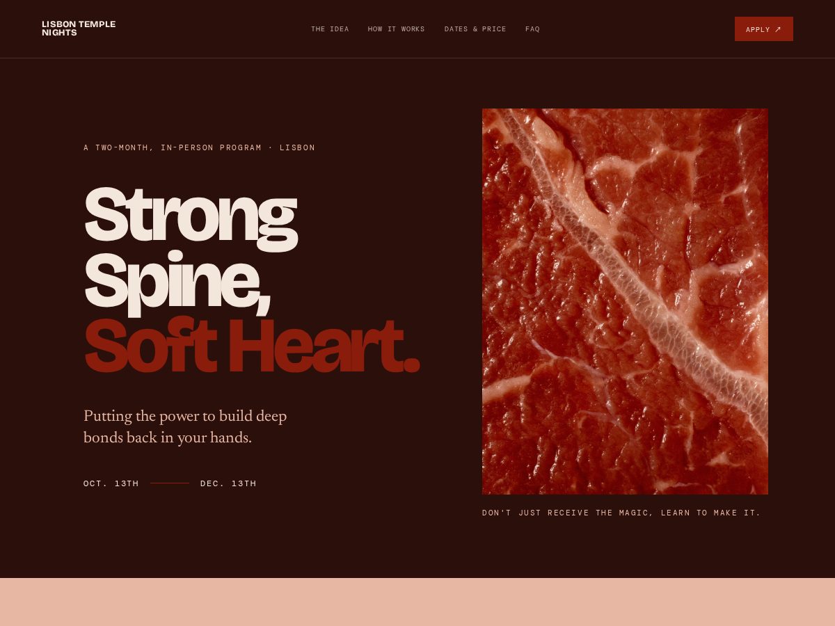 Landing-page snapshot of strongspinesoftheart.space