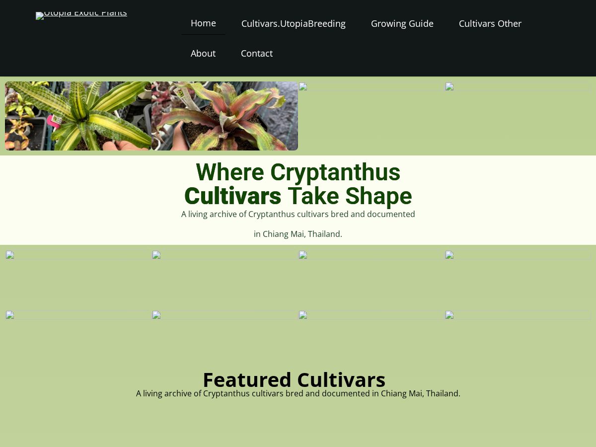 Landing-page snapshot of utopiaexoticplants.com