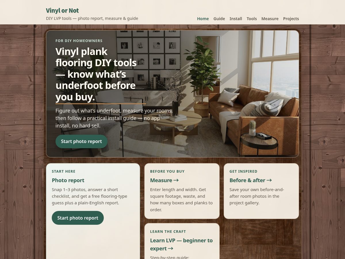 Landing-page snapshot of vinylornot.com