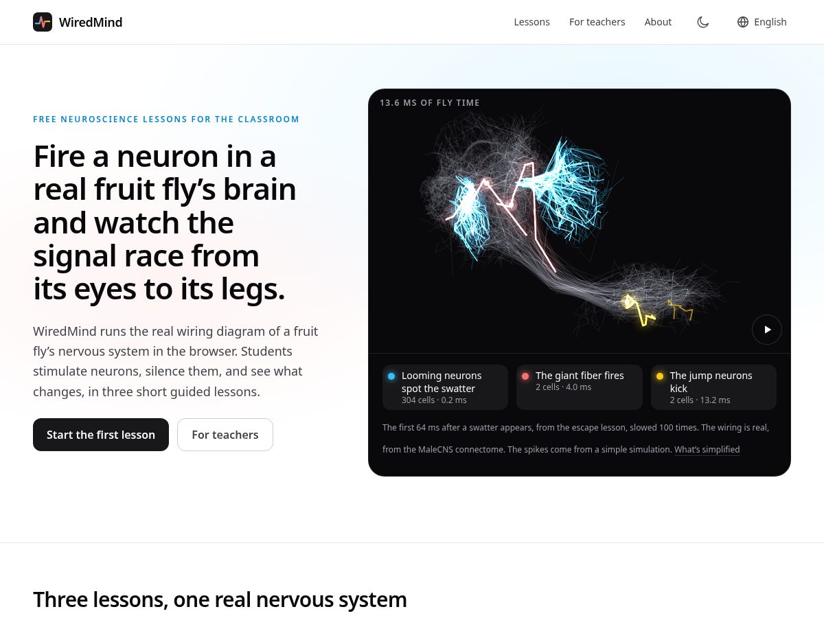 Landing-page snapshot of wiredmind.app