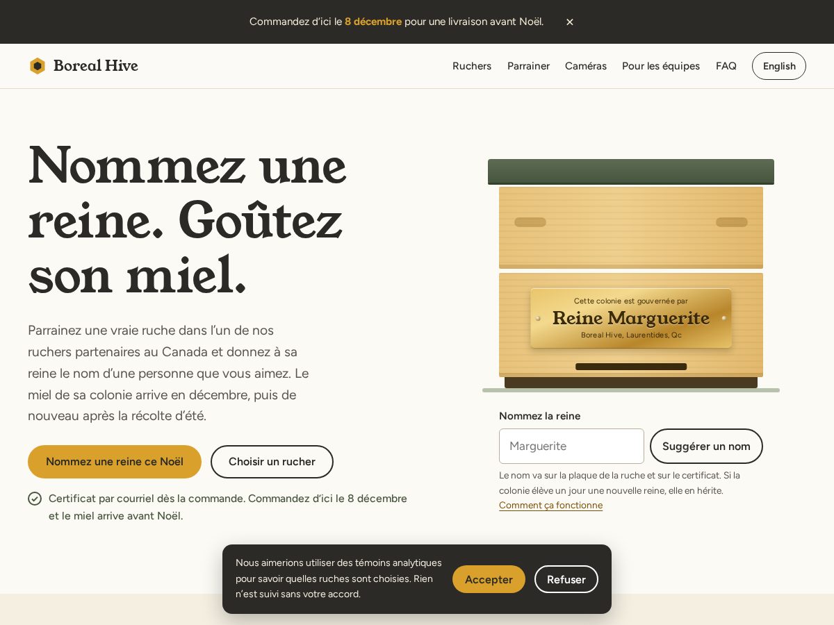 Landing-page snapshot of adoptezuneruche.com