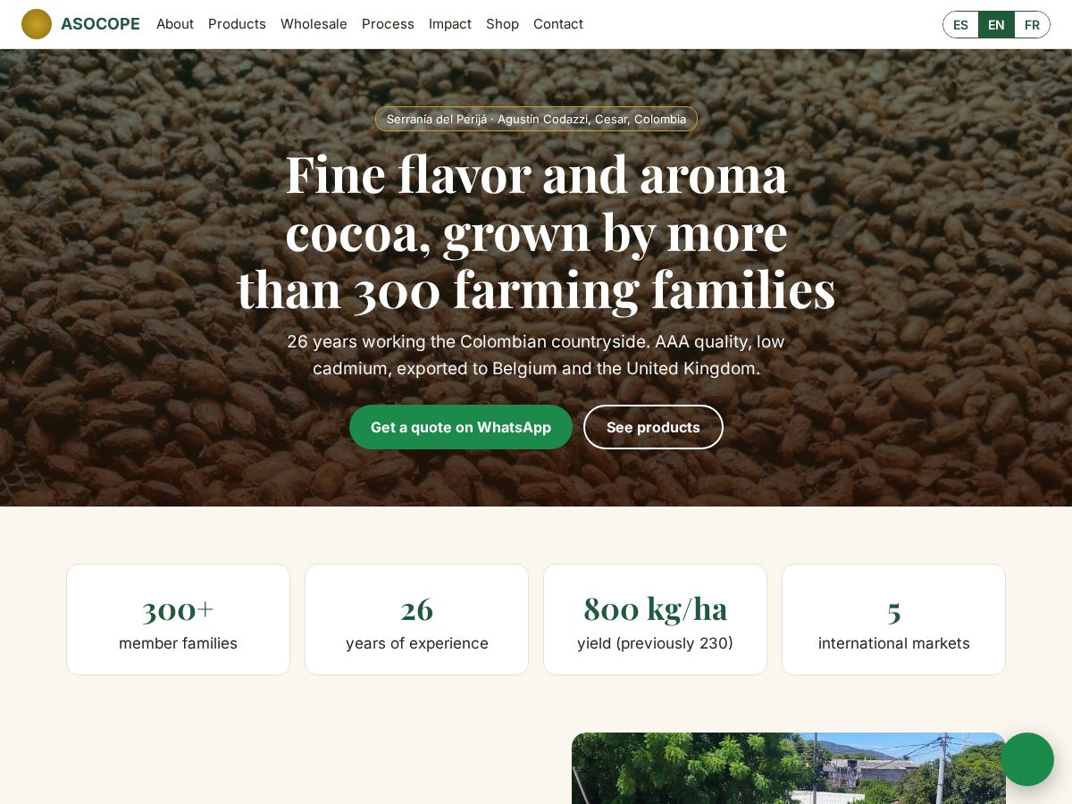 Landing-page snapshot of asocope.com