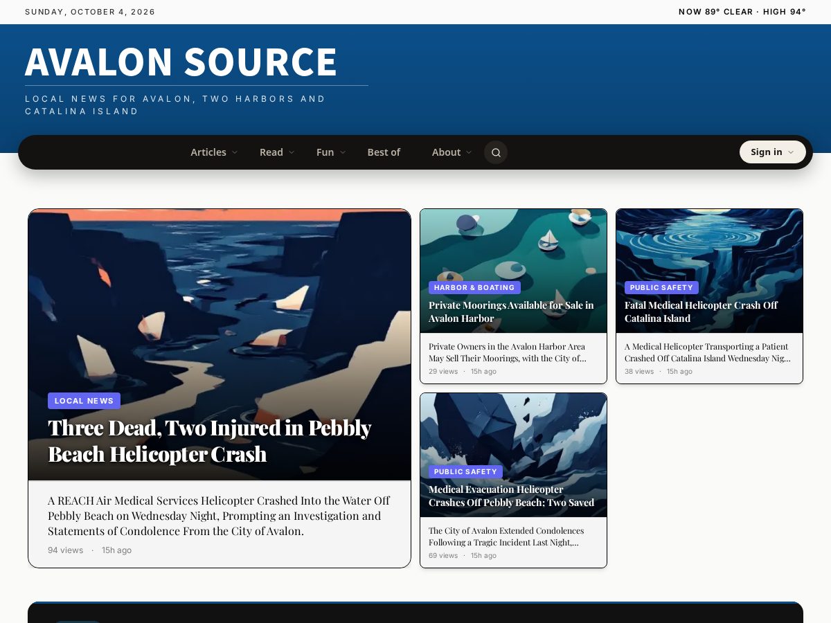 Landing-page snapshot of avalonsource.com
