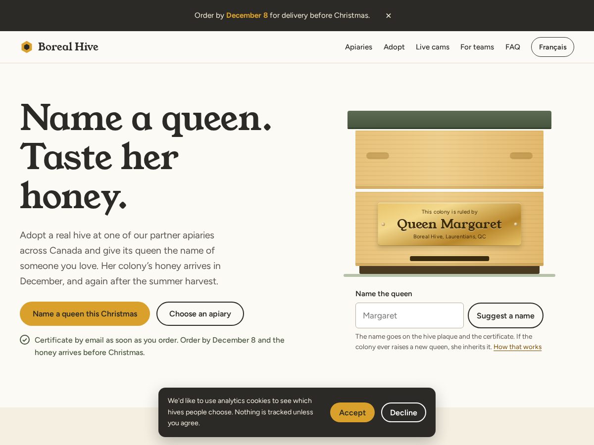 Landing-page snapshot of borealhive.com