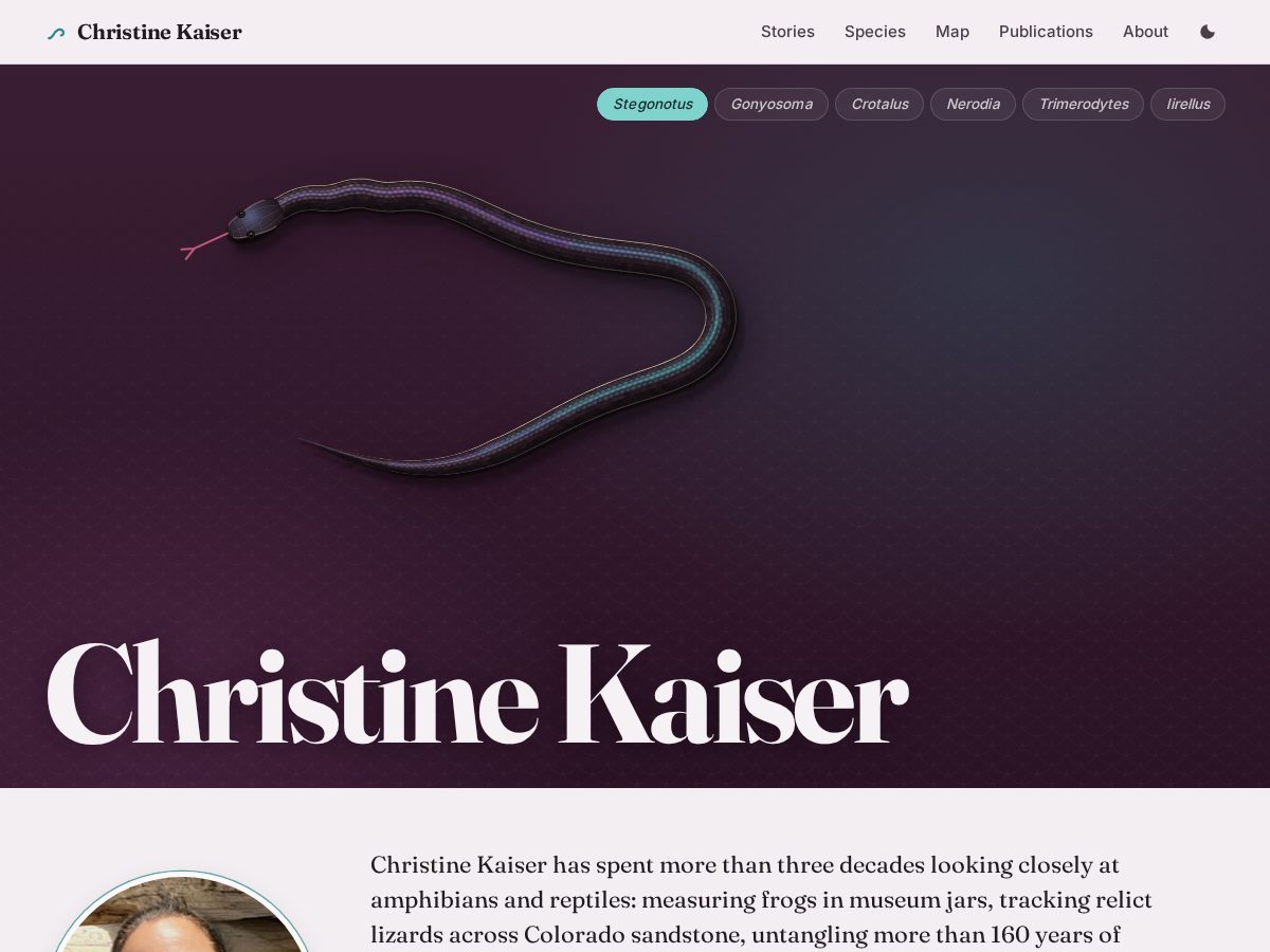 Landing-page snapshot of chriskaiser.net