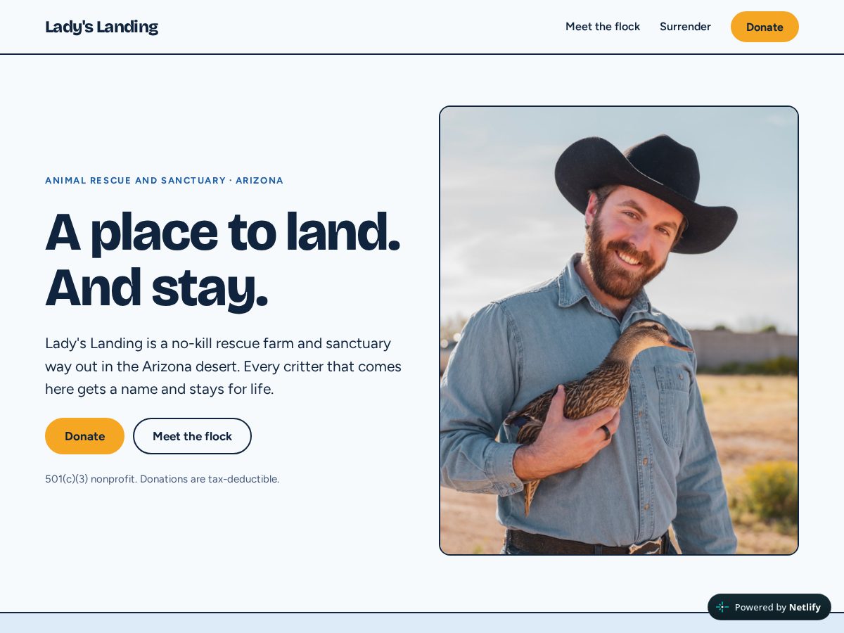 Landing-page snapshot of ladyslanding.org