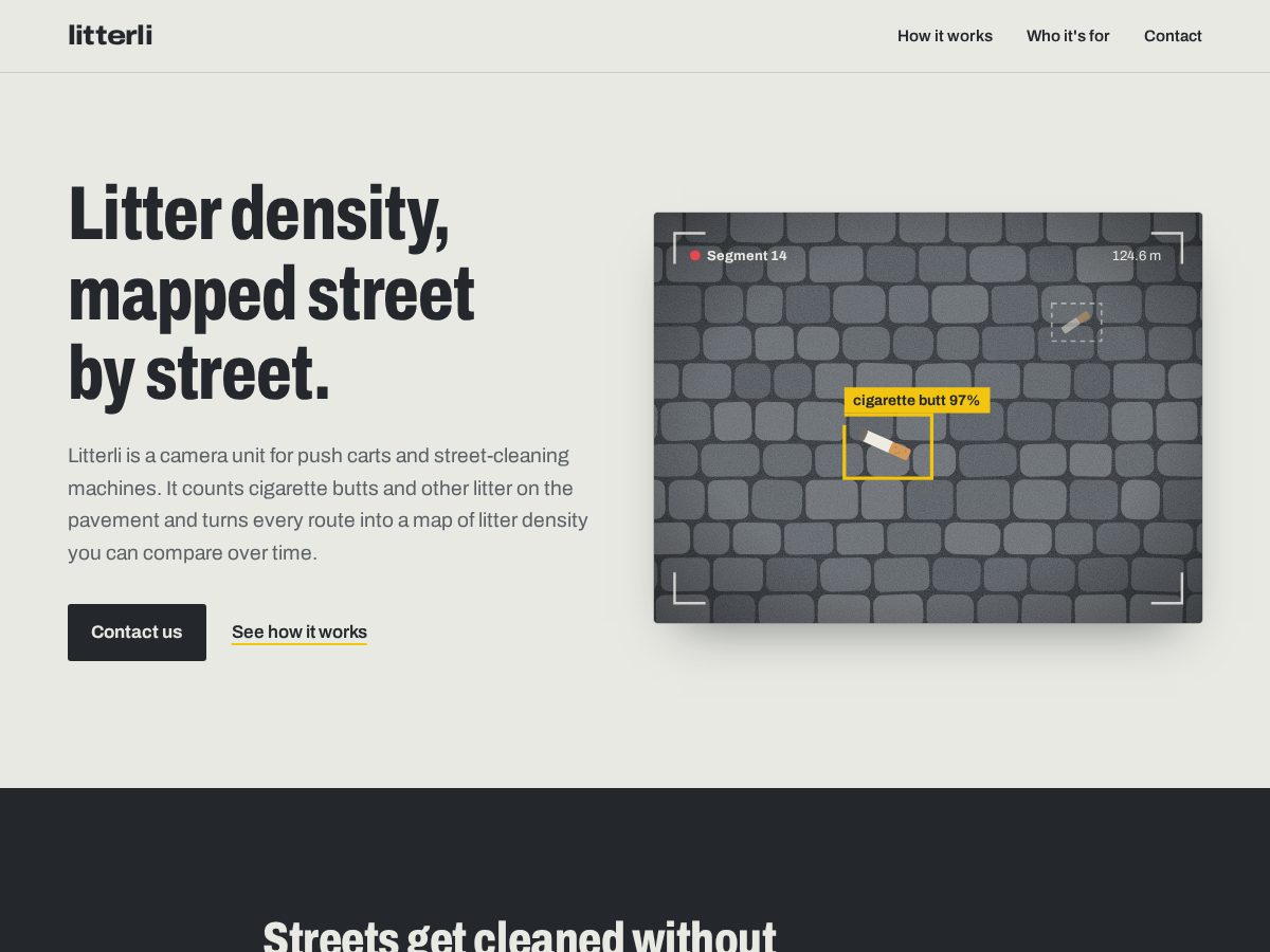 Landing-page snapshot of litterli.com