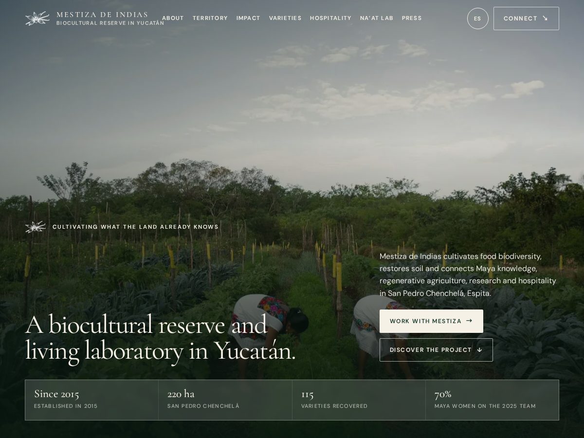 Landing-page snapshot of mestizadeindias.com