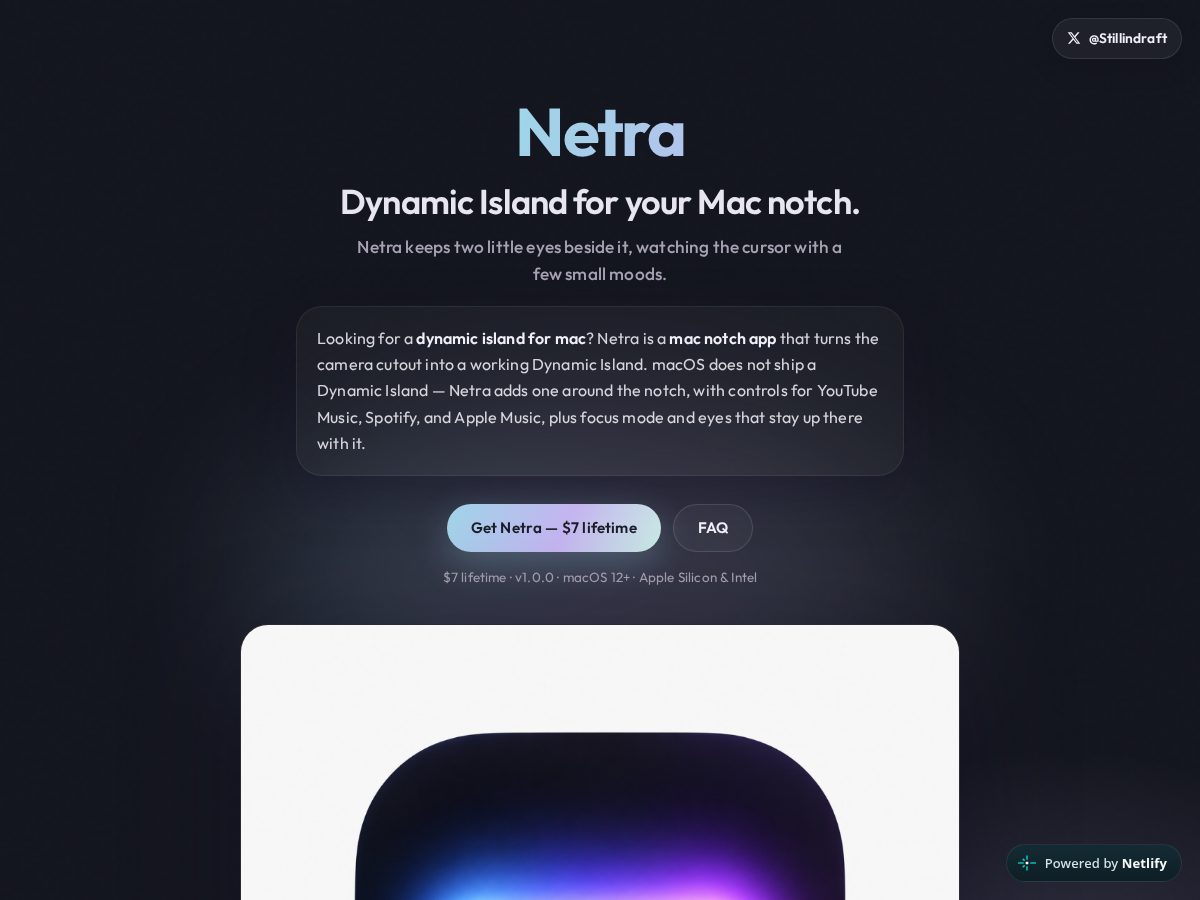 Landing-page snapshot of netras.online