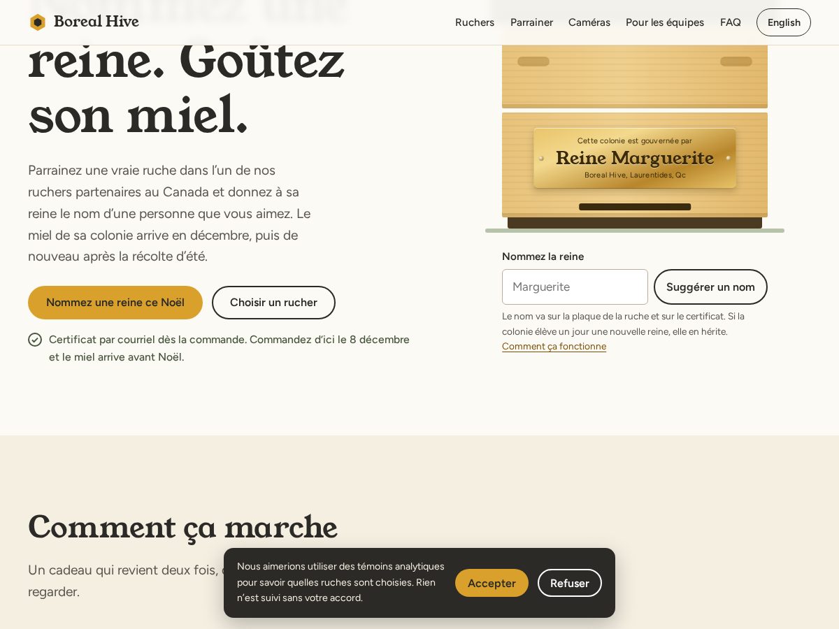 Landing-page snapshot of nommezlareine.com