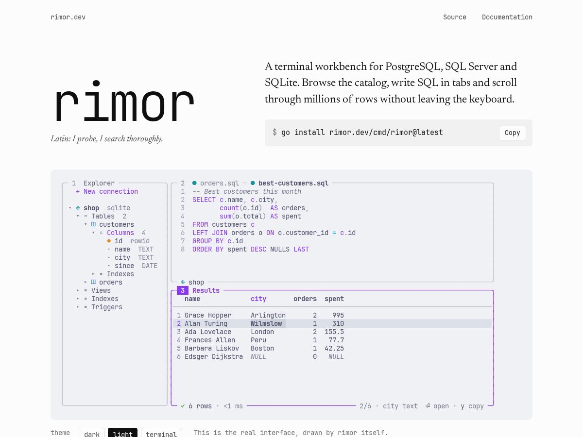 Landing-page snapshot of rimor.dev