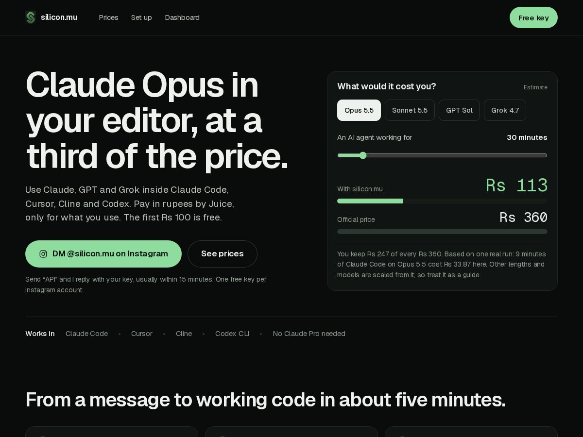 Landing-page snapshot of siliconmu.xyz