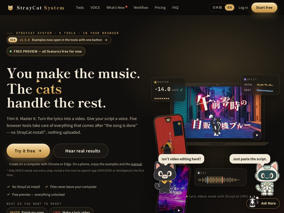 Landing-page snapshot of straycatsystem.com