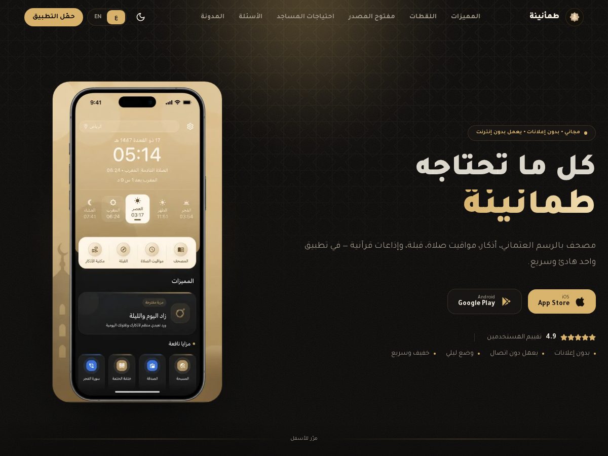 Landing-page snapshot of tamaneena.app