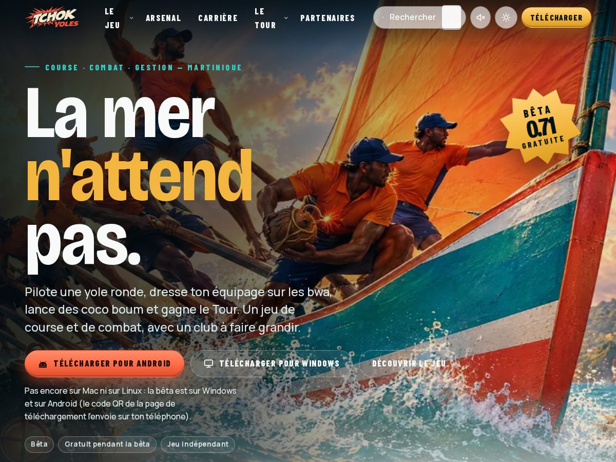 Landing-page snapshot of tchokyoles.com