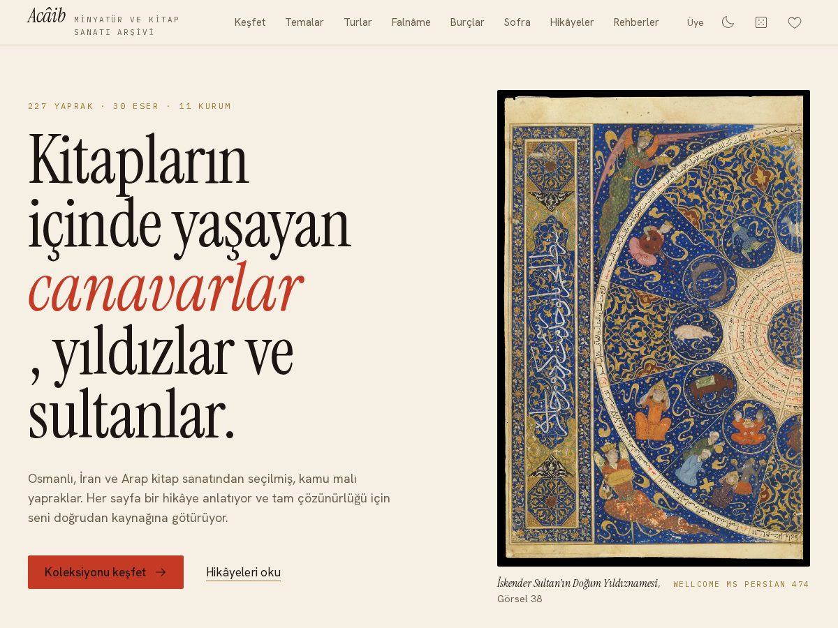 Landing-page snapshot of acaib.art