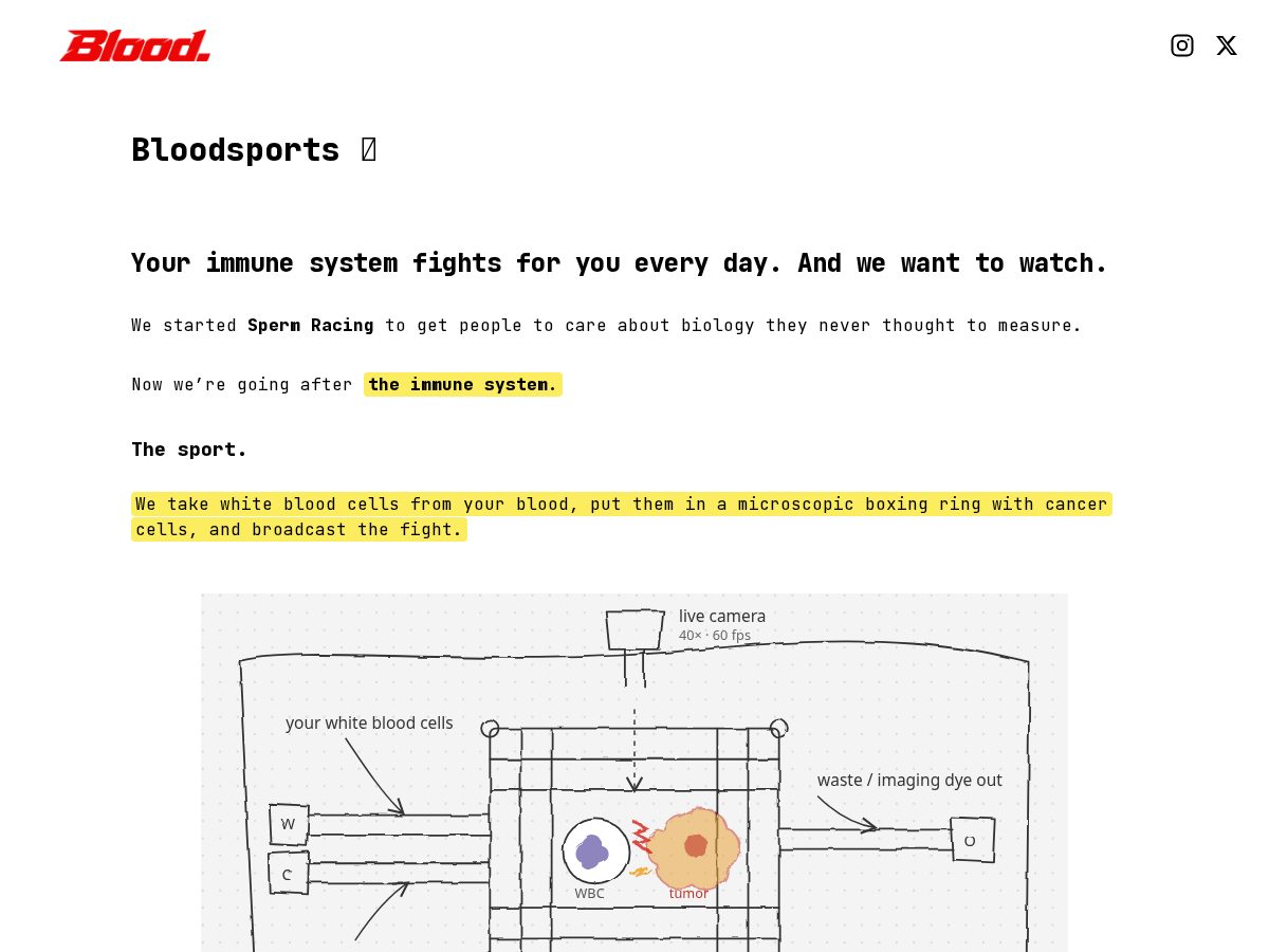 Landing-page snapshot of bloodsports.xyz