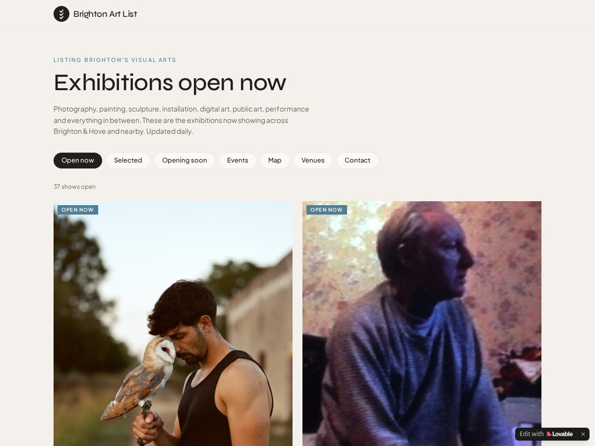 Landing-page snapshot of brightonartlist.com