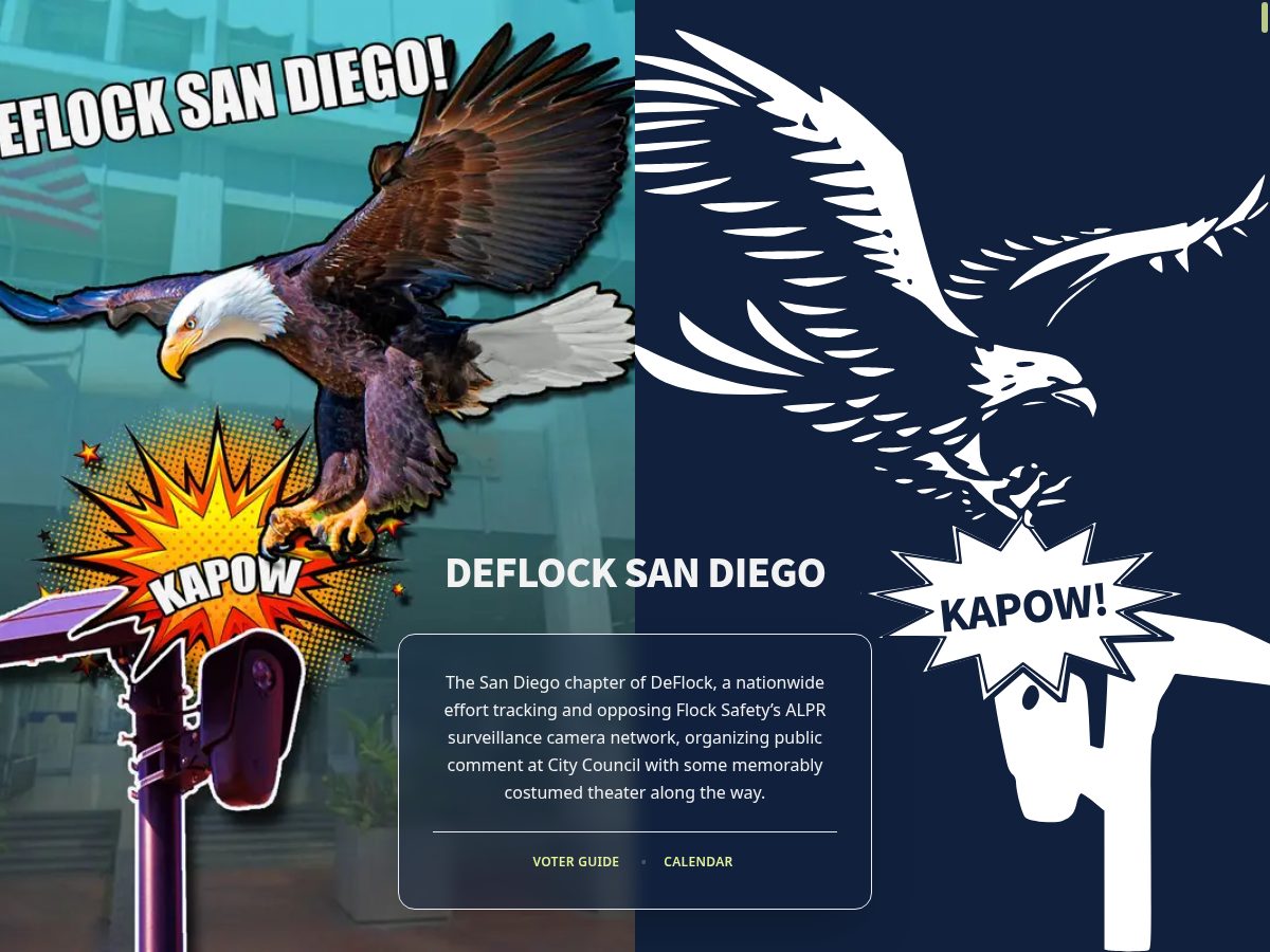 Landing-page snapshot of deflocksd.com