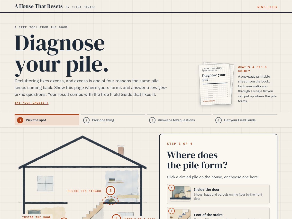 Landing-page snapshot of diagnoseyourpile.com