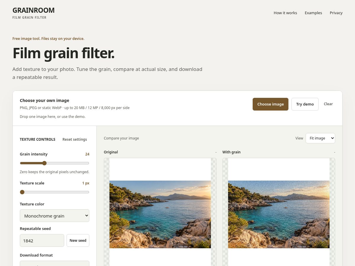 Landing-page snapshot of filmgrainfilter.cyou