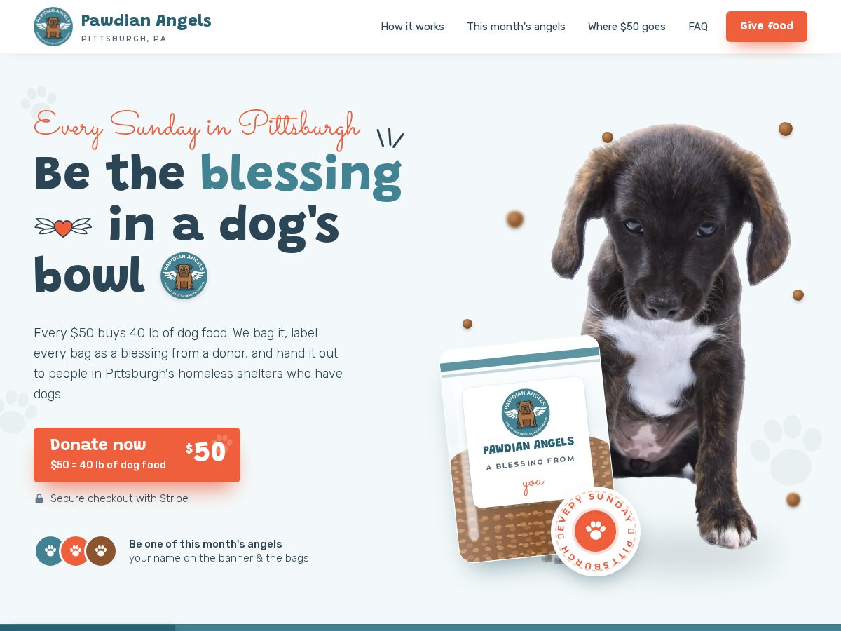 Landing-page snapshot of pawdianangels.com