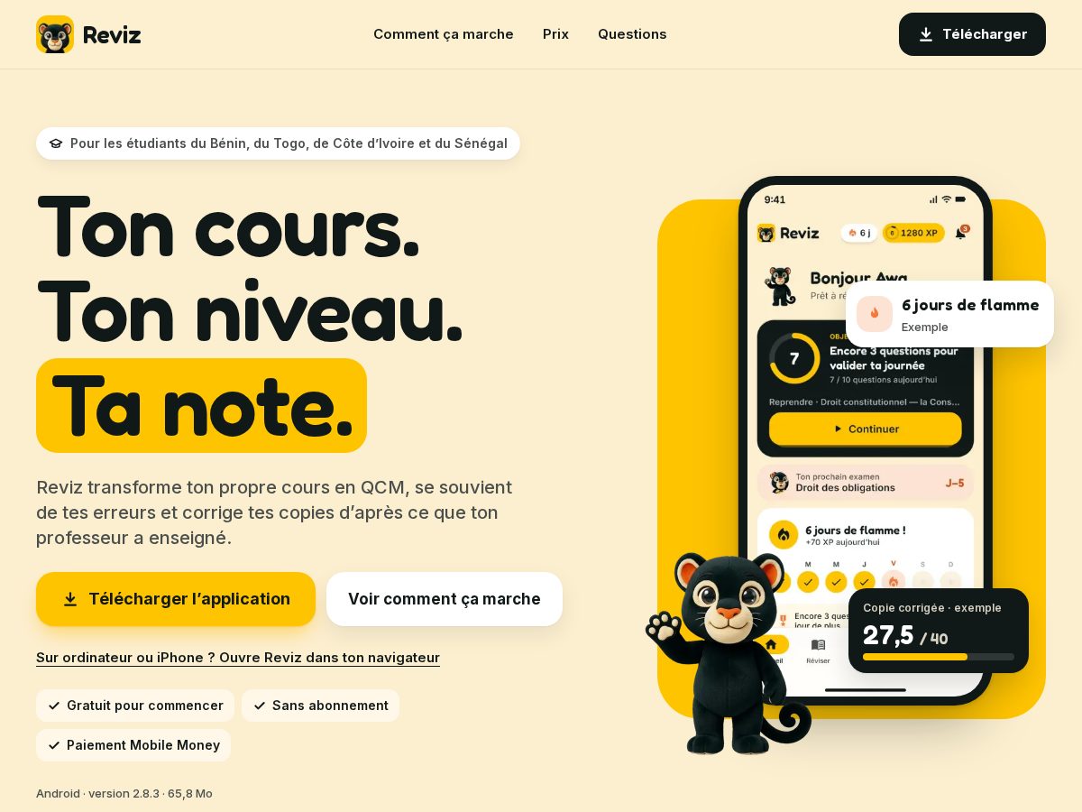 Landing-page snapshot of revizapp.fun
