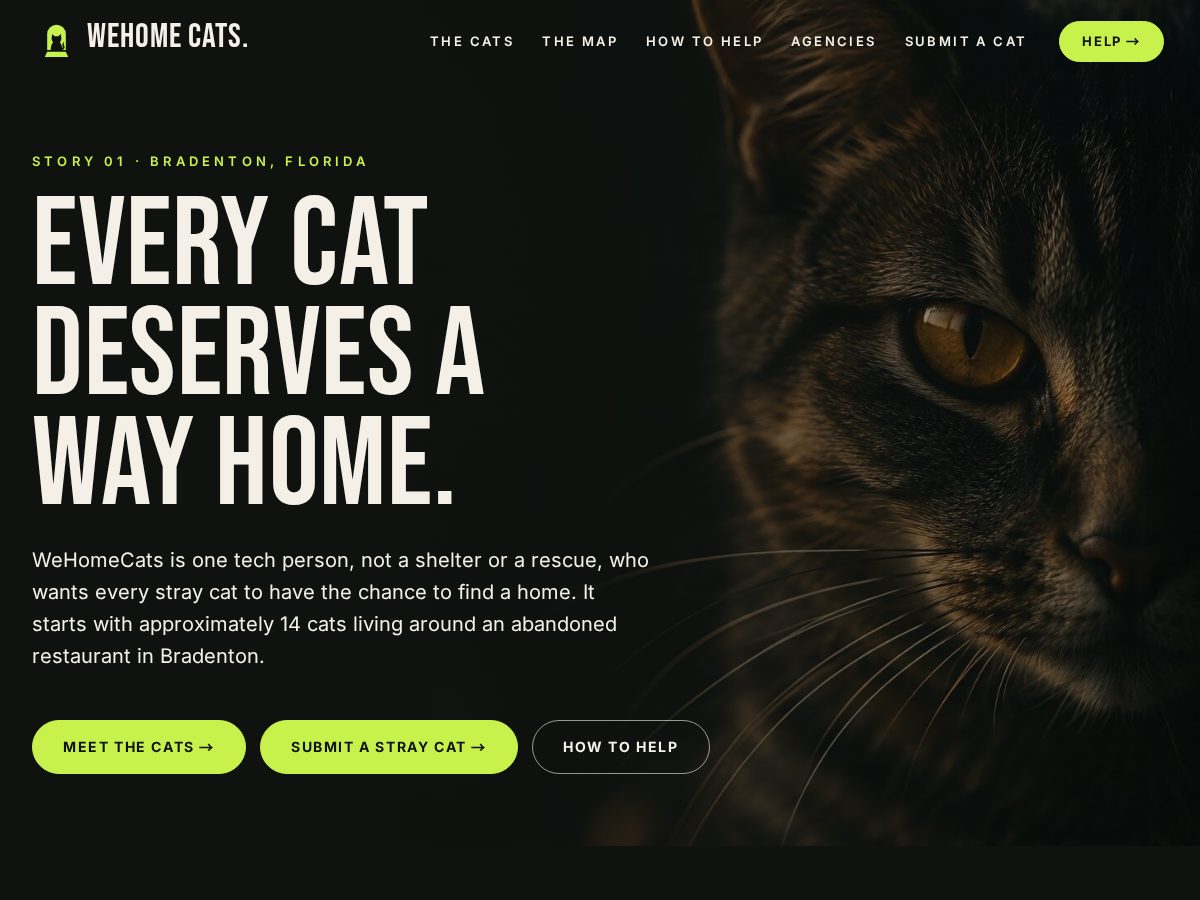 Landing-page snapshot of wehomecats.com