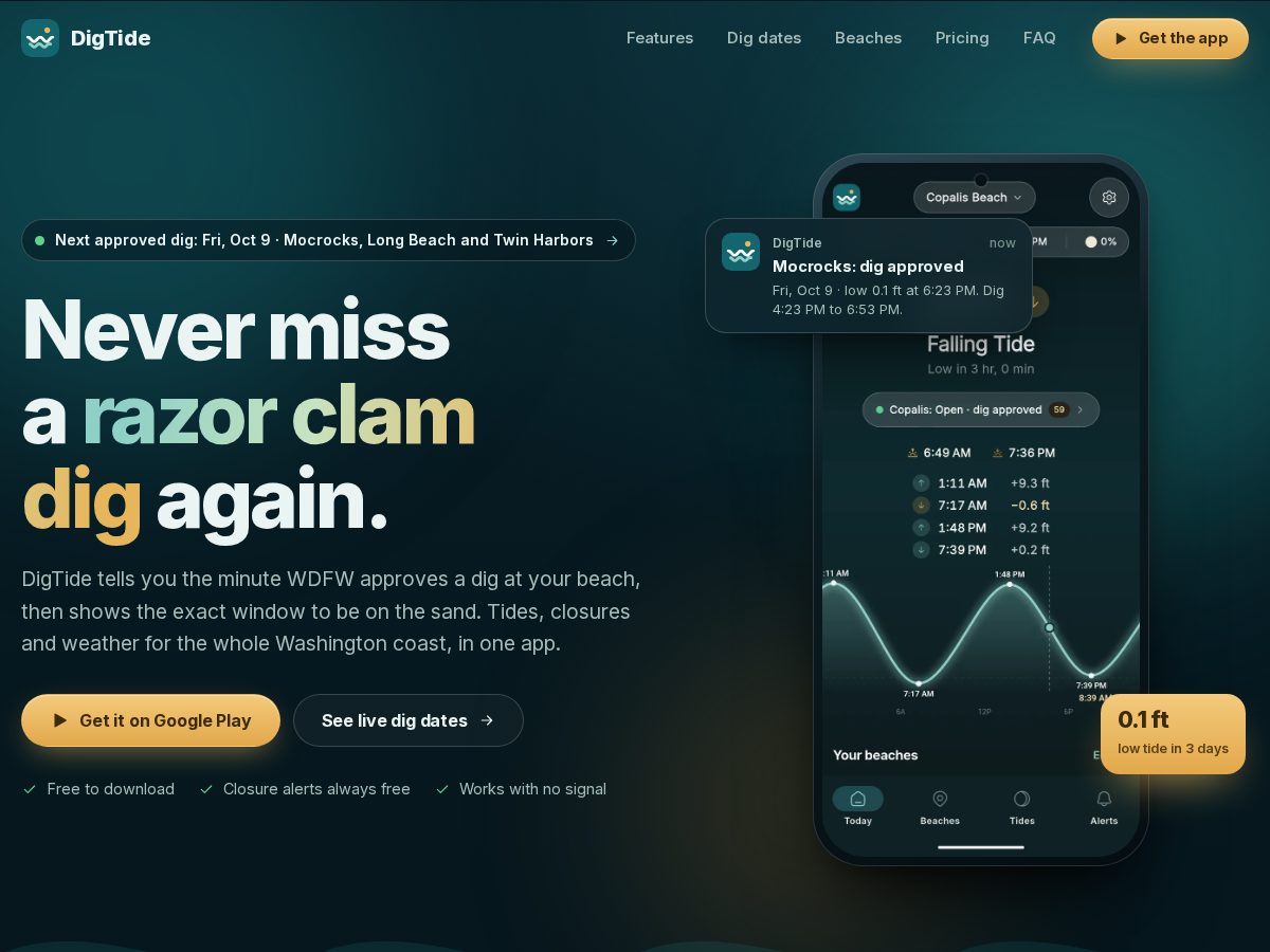 Landing-page snapshot of digtide.com