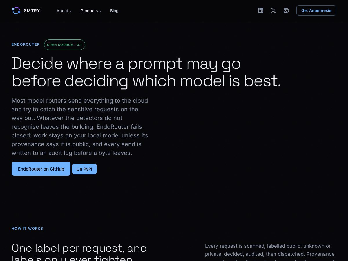 Landing-page snapshot of endorouter.dev