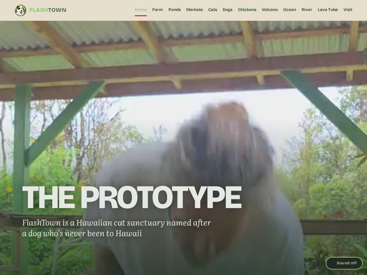 Landing-page snapshot of flashtown.space
