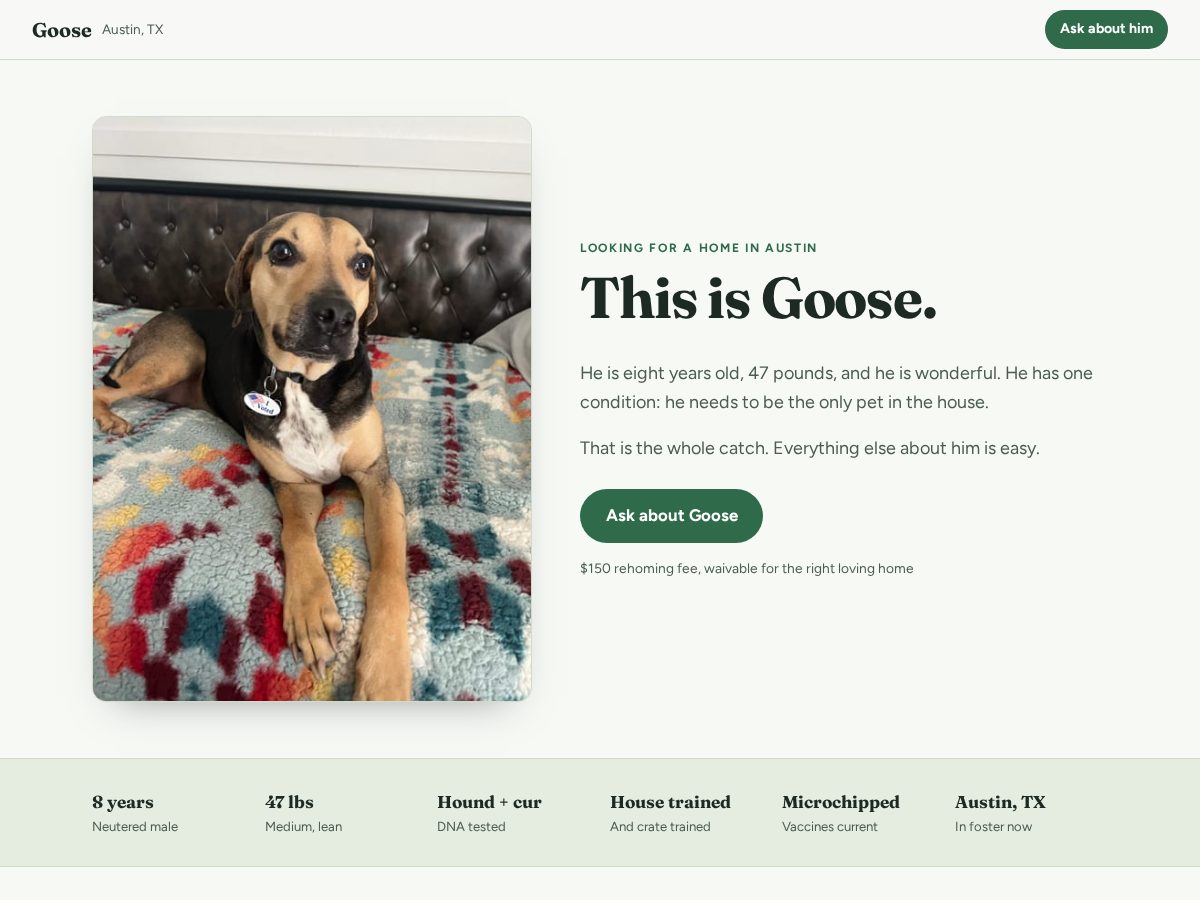 Landing-page snapshot of gooseatx.com