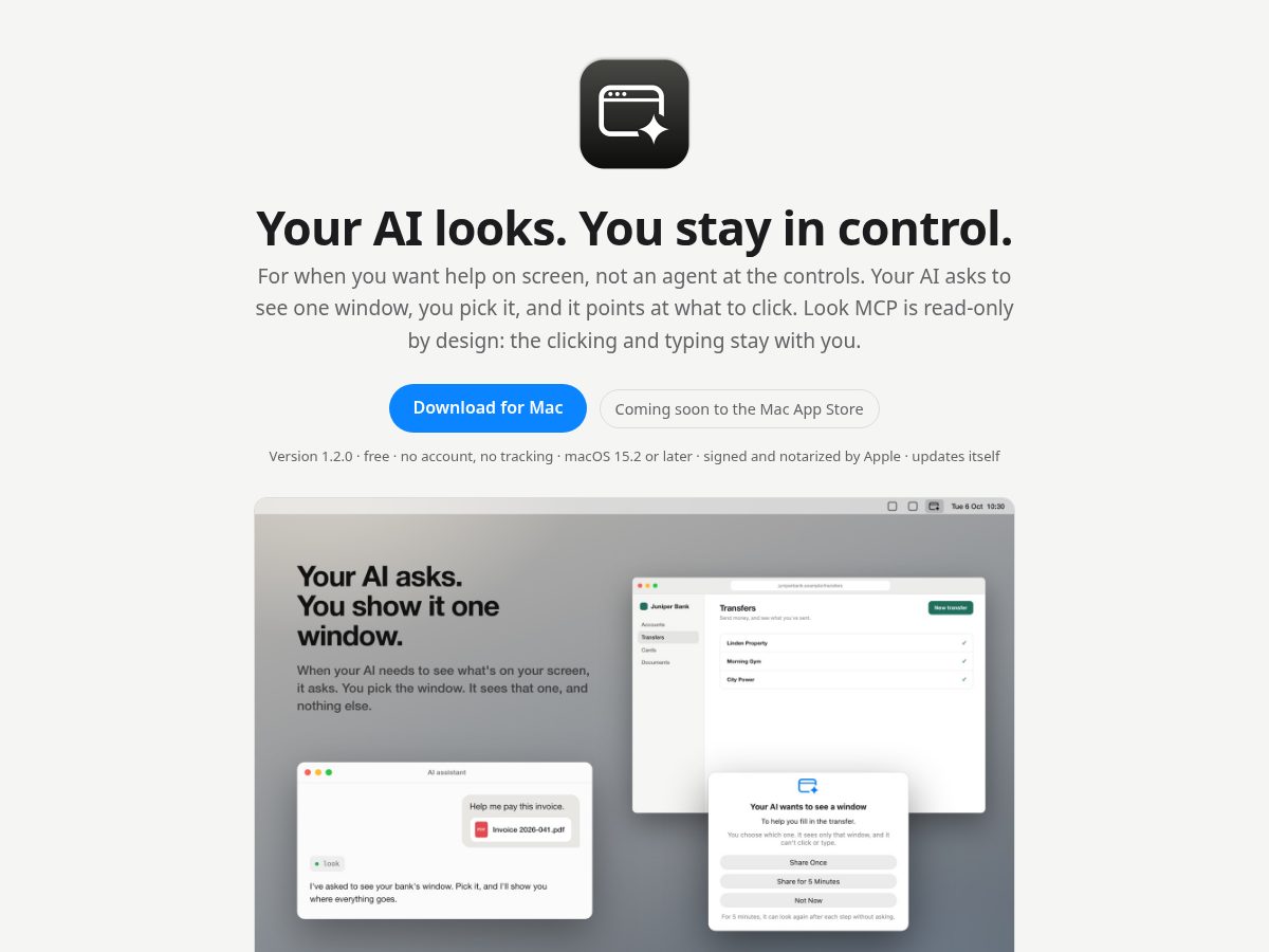Landing-page snapshot of lookmcp.app