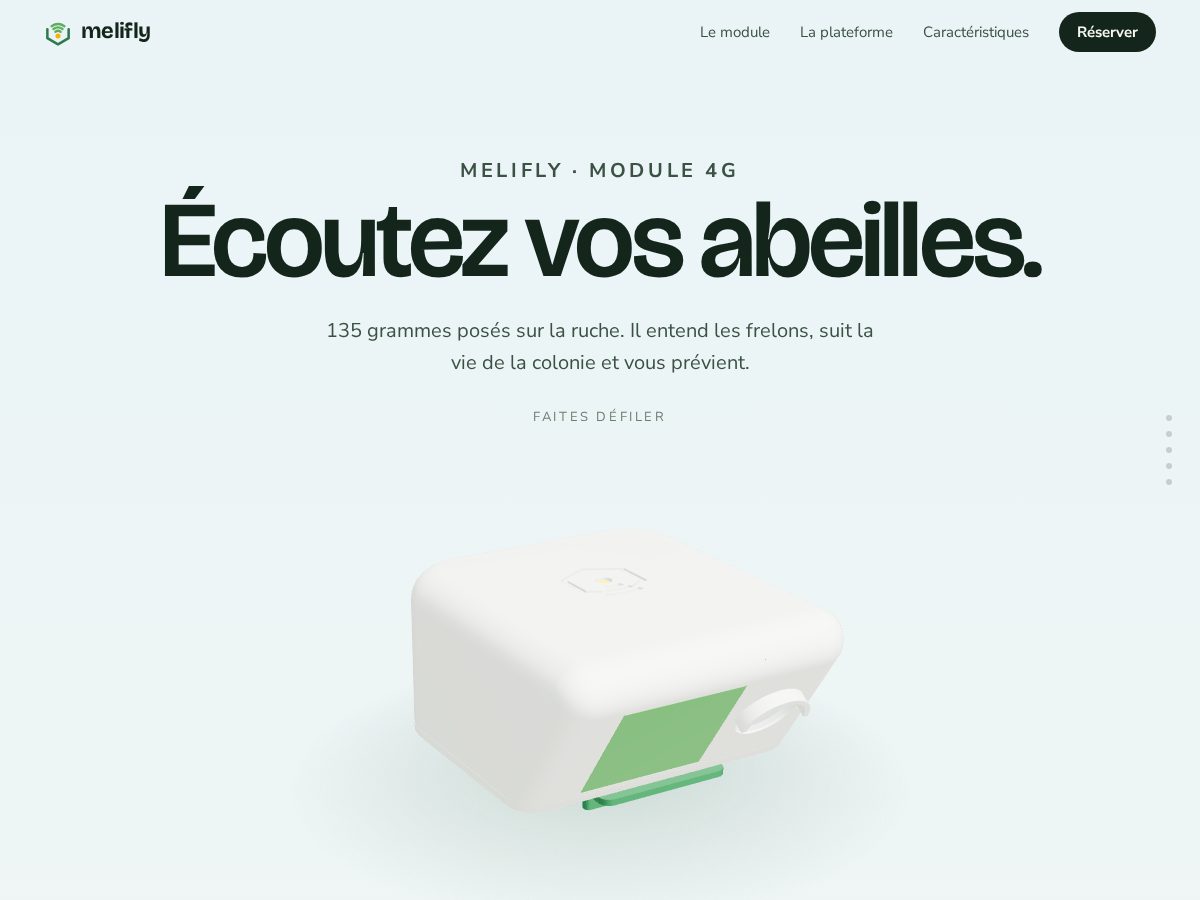 Landing-page snapshot of melifly.store