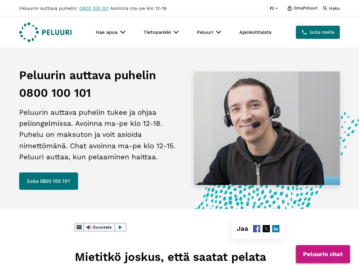 Landing-page snapshot of peluuri.work