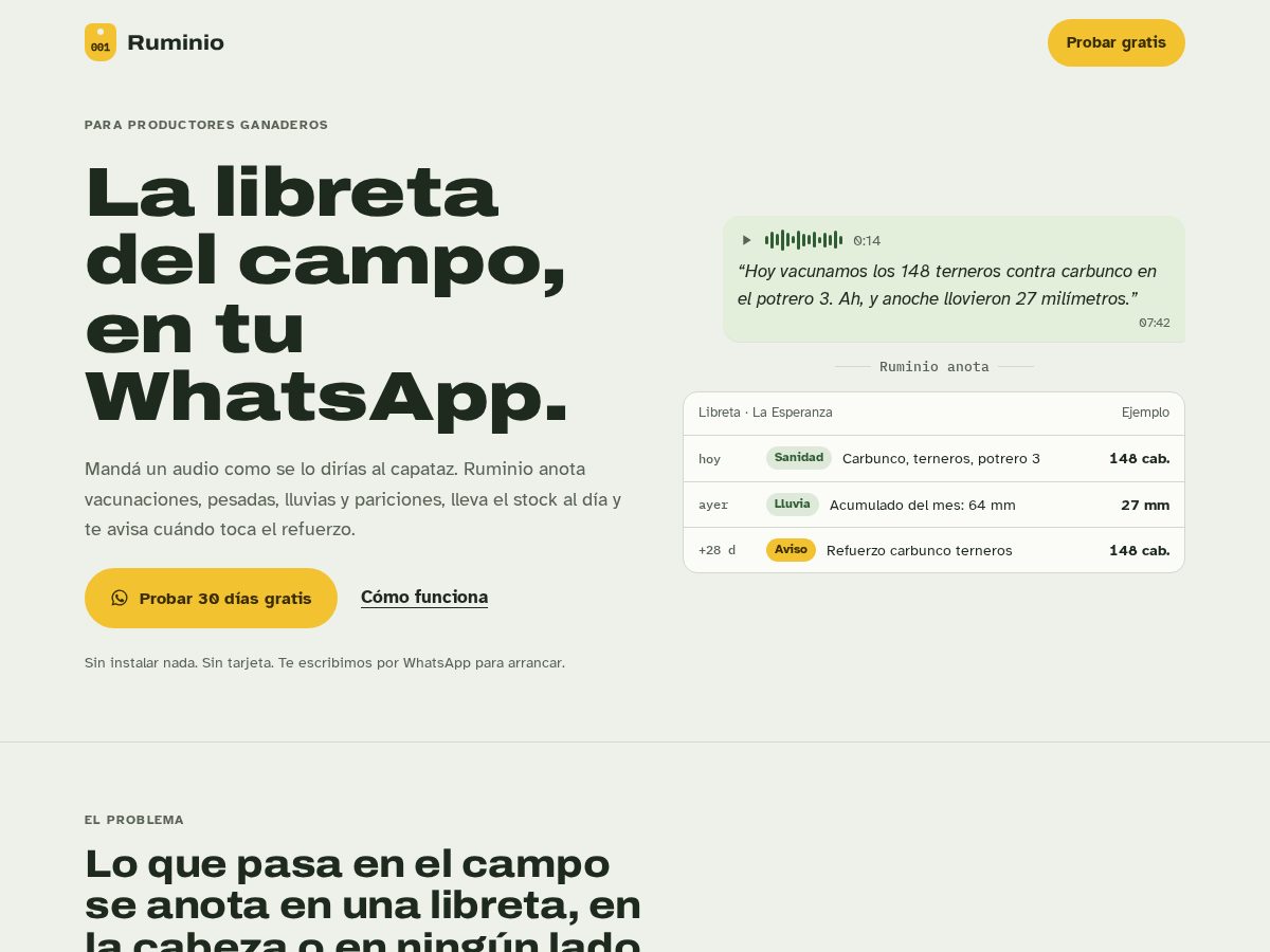 Landing-page snapshot of ruminio.com