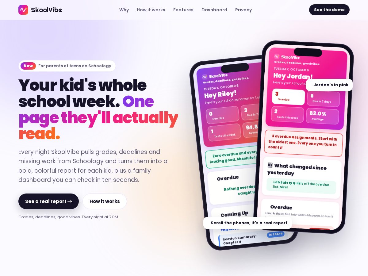 Landing-page snapshot of skoolvibe.app