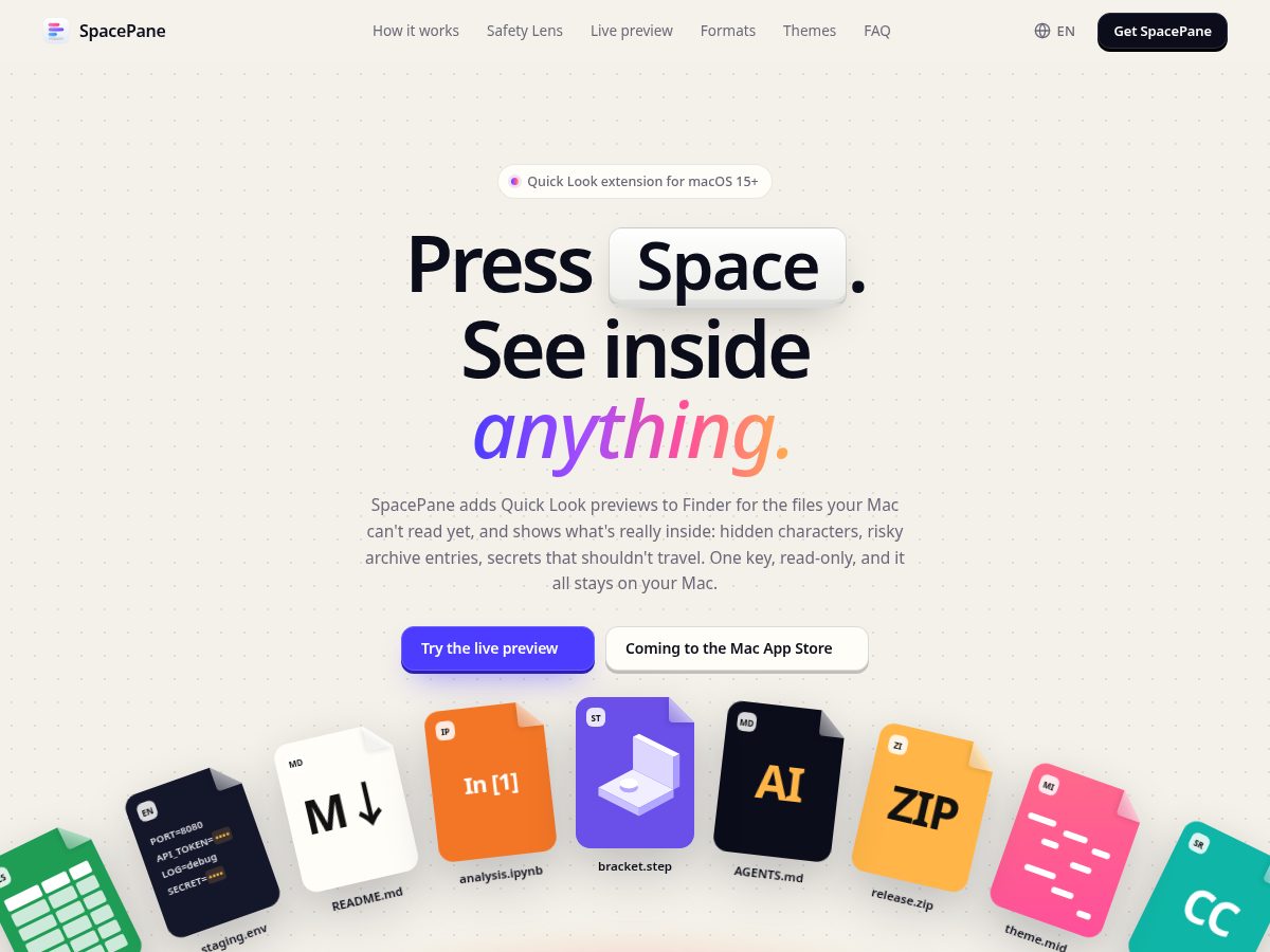 Landing-page snapshot of spacepane.com